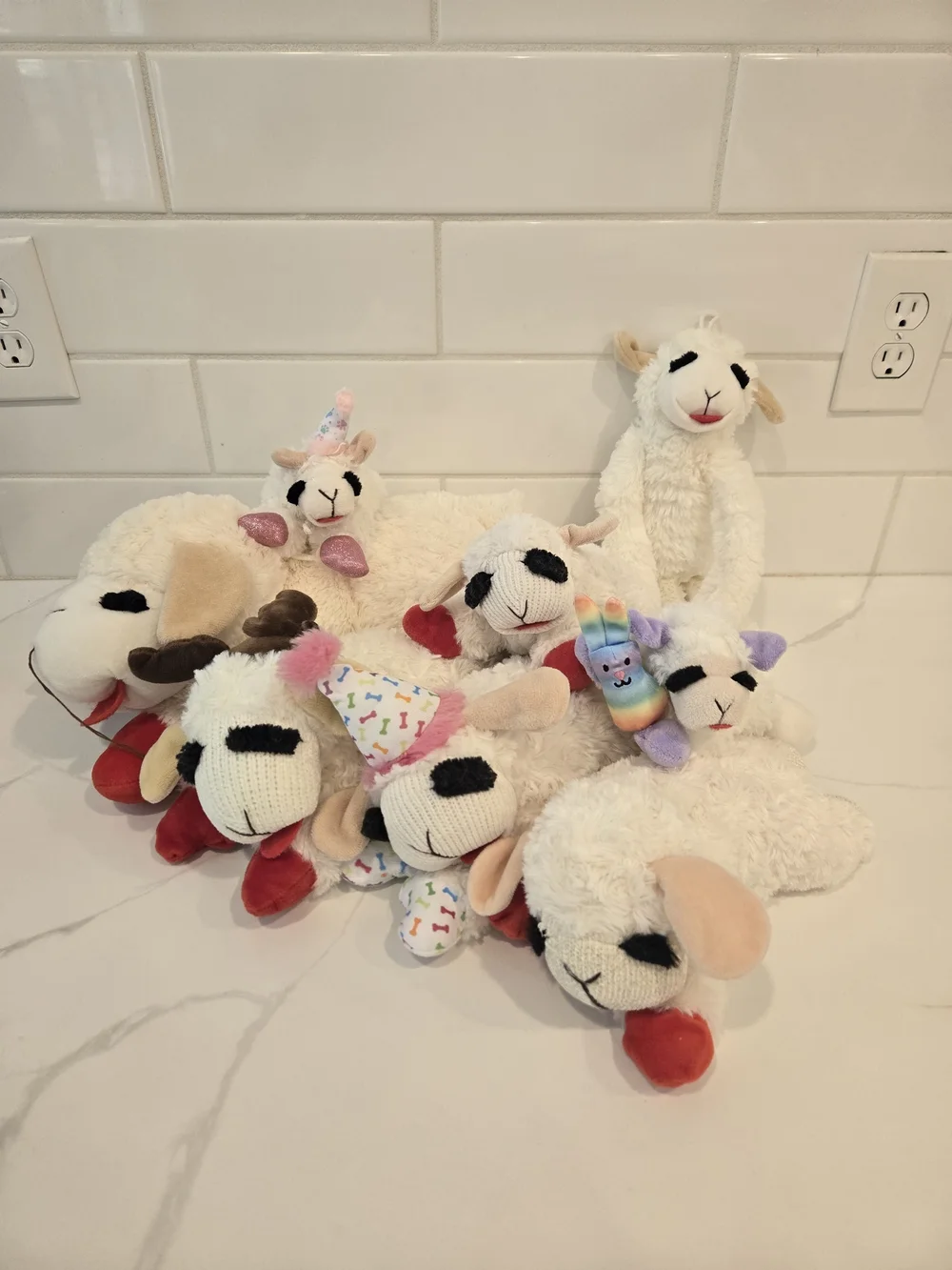 Lamb Chop Dog Toys